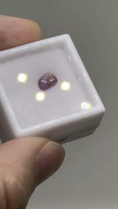 plant/$3| Ruby Polished Cab 0.75 ct #15-0-thumbnail