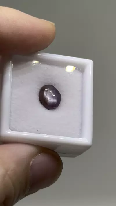 plant/$9| Ruby Polished Cab 2.1 ct #8-0-thumbnail