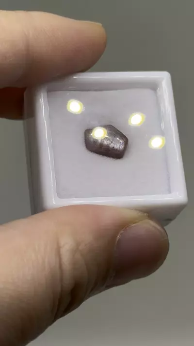 plant/$10| Ruby Polished Cab 2.5 ct #20-0-thumbnail
