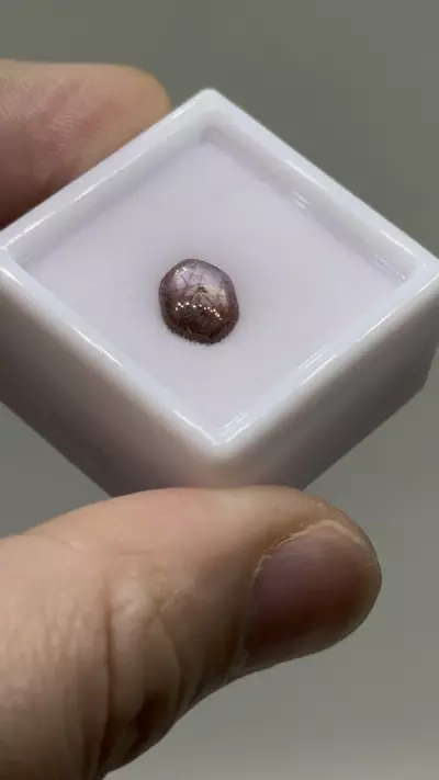 plant/$8| Ruby Polished Cab 1.8 ct #13-0-thumbnail