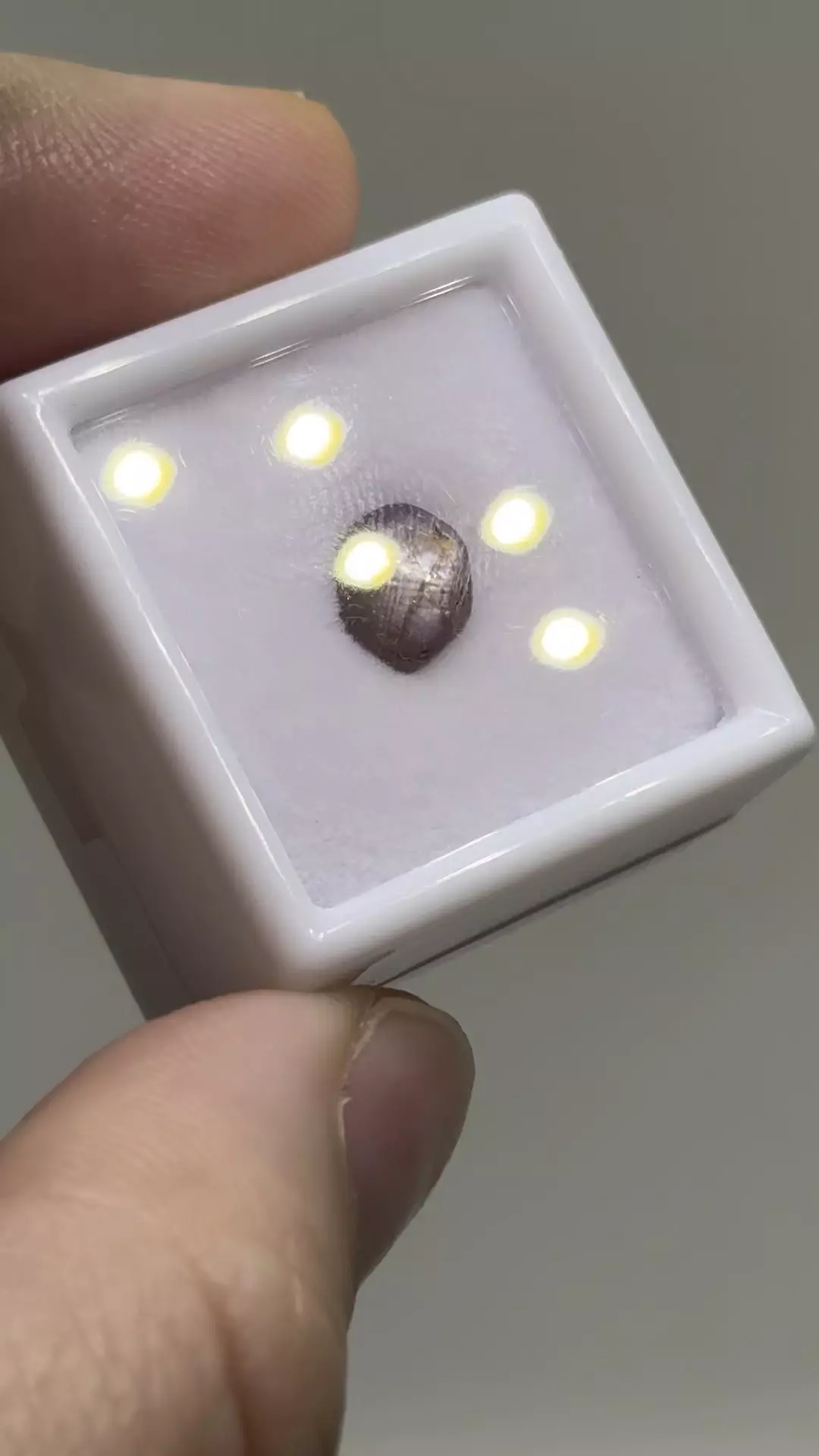 plant/$6| Ruby Polished Cab 1.5 ct #6-0