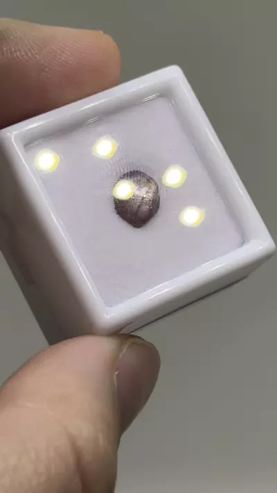 plant/$6| Ruby Polished Cab 1.5 ct #6-0-thumbnail