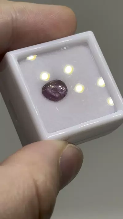 plant/$7| Ruby Polished Cab 1.55 ct #11-0-thumbnail