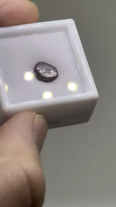 plant/$7| Ruby Polished Cab 1.55 ct #9-0-thumbnail