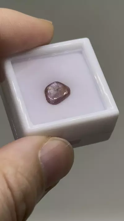 plant/$7| Ruby Polished Cab 1.55 ct #16-0-thumbnail