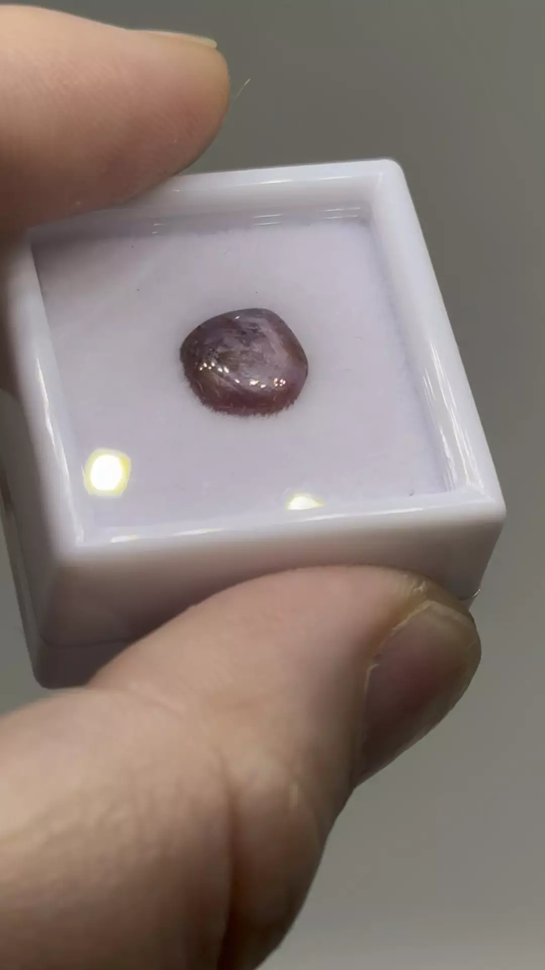 plant/$7| Ruby Polished Cab 1.75 ct #18-0