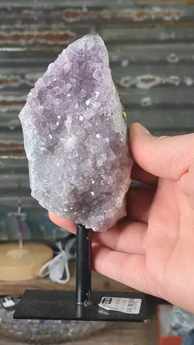plant/#12758 Amethyst on Metal Stand Brazil ~547 Grams (1.2 Pounds)-0-thumbnail
