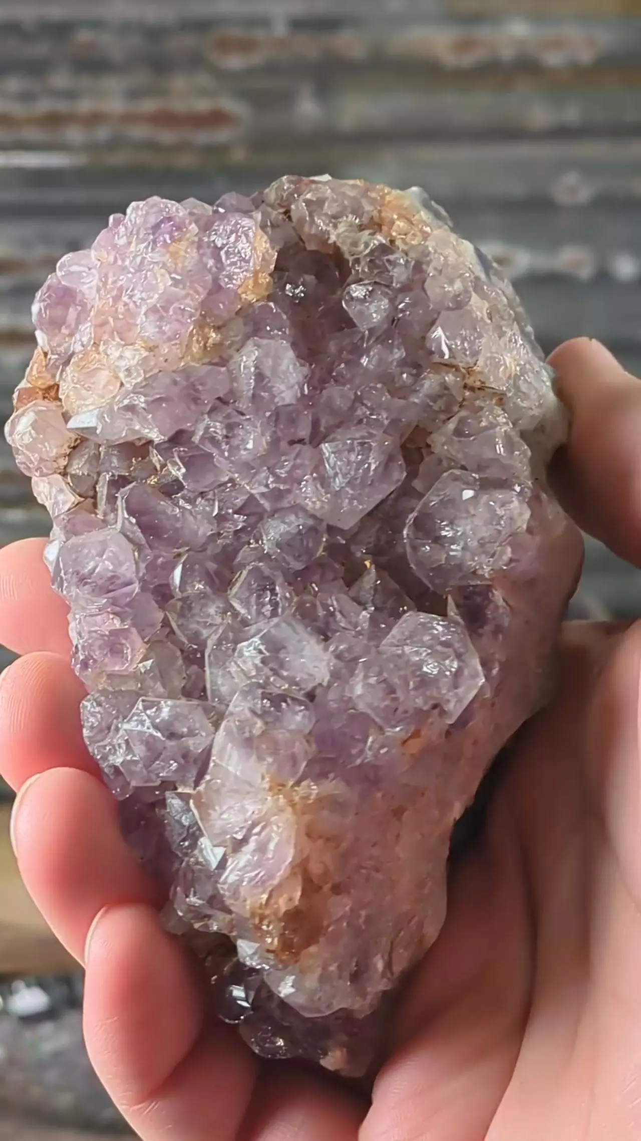 plant/Amethyst Agate Cluster ~438 Grams (0.97 Pounds)-0