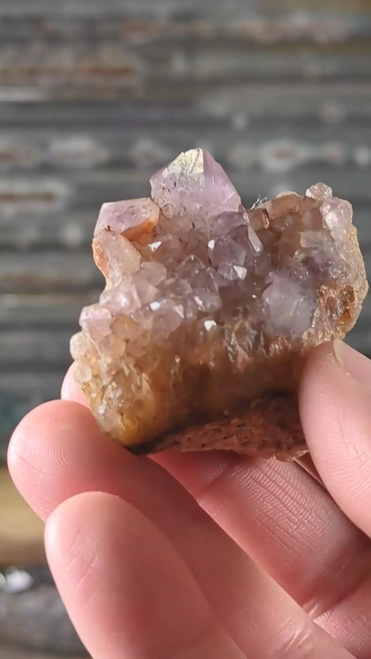 plant/Amethyst Cluster Madagascar ~60 Grams-0