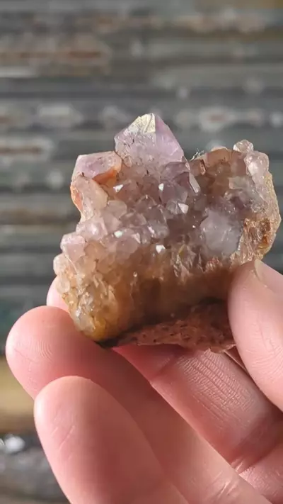 plant/Amethyst Cluster Madagascar ~60 Grams-0-thumbnail