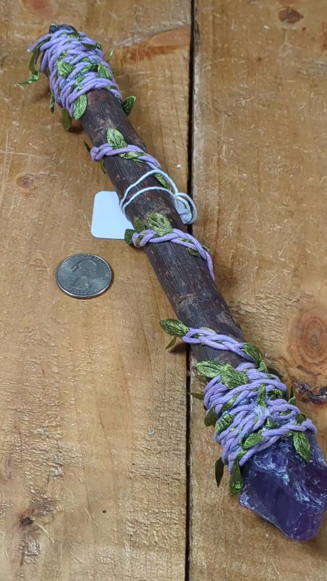 plant/#15613 Rough Amethyst Wand was $15-0