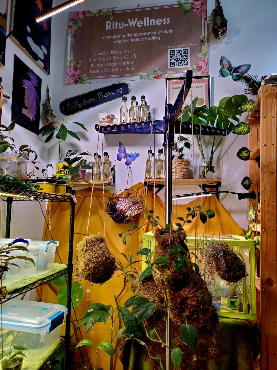 Kokedamas, Plants & Wellness 🌱