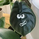 LabLady