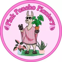 PinkPonchoPlantery