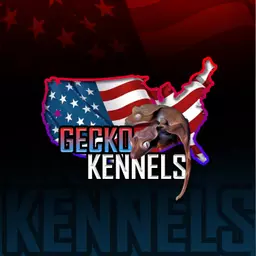 GeckoKennels