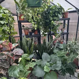 Cardinsgarden