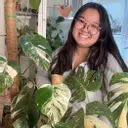 lori.plants