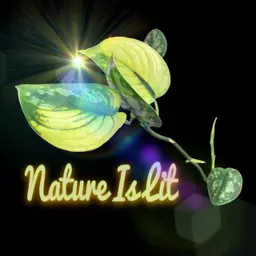 NatureIsLit