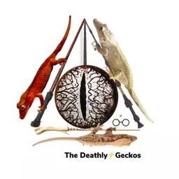 DeathlyGeckos