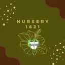 Nursery1621