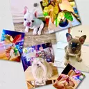 RarePlants_PawsNY