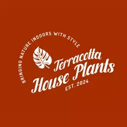TerracottaHousePlants