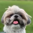 Cilla