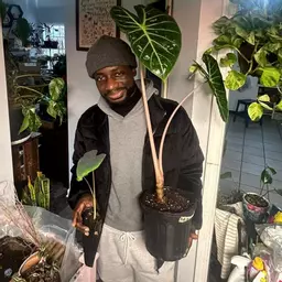 BrotherRoot