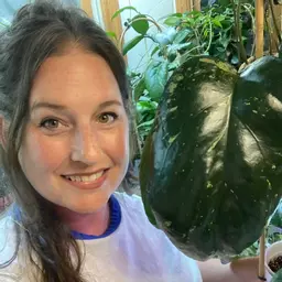 KalisGreenhouse