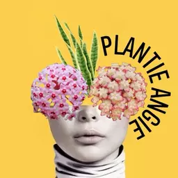 PlantieAngie