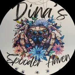 DinasSpooderHaven