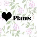 Black.heart.plants