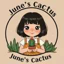 JunesCactus