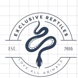 EXCLUSIVEREPTILES