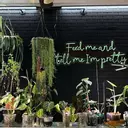 WhereTheGreenThingsGrow