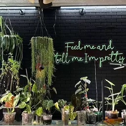 WhereTheGreenThingsGrow