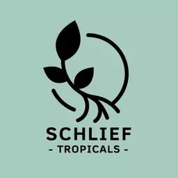 SchliefTropicals