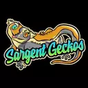SargentGeckos