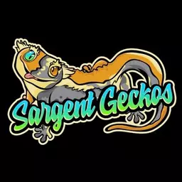 SargentGeckos