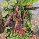 GhostGrower