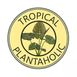 TropicalPlantaholic