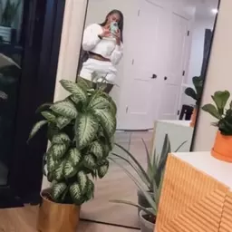 call.me_cocoa