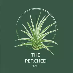 ThePerchedPlant
