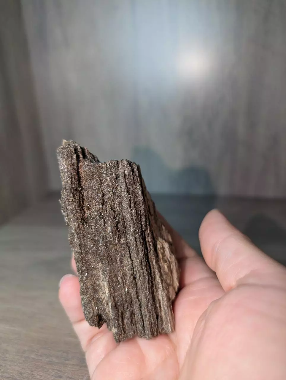 Permineralized druzy wood thumbnail