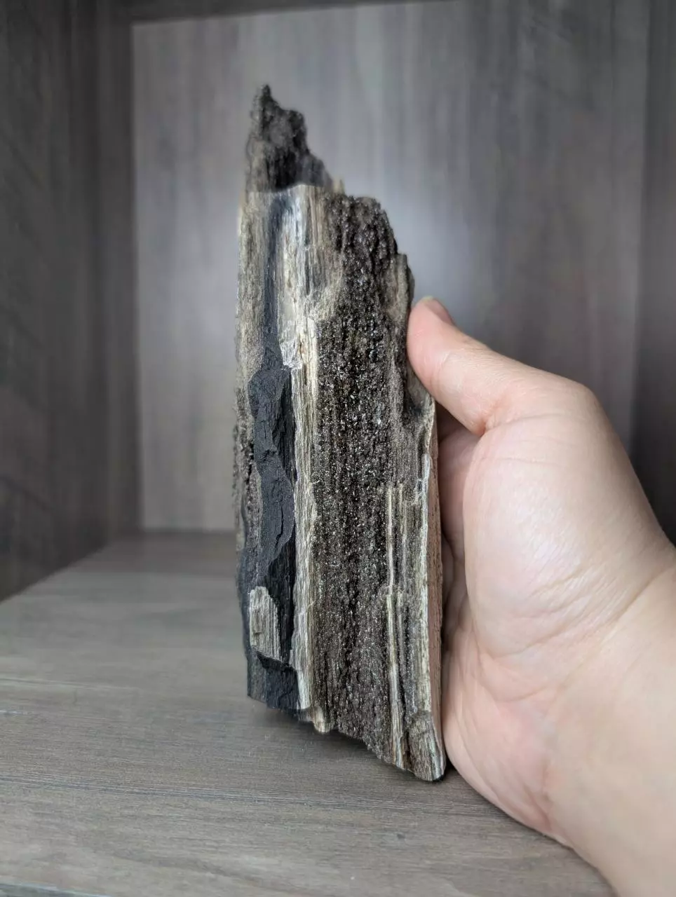 Permineralized druzy wood thumbnail