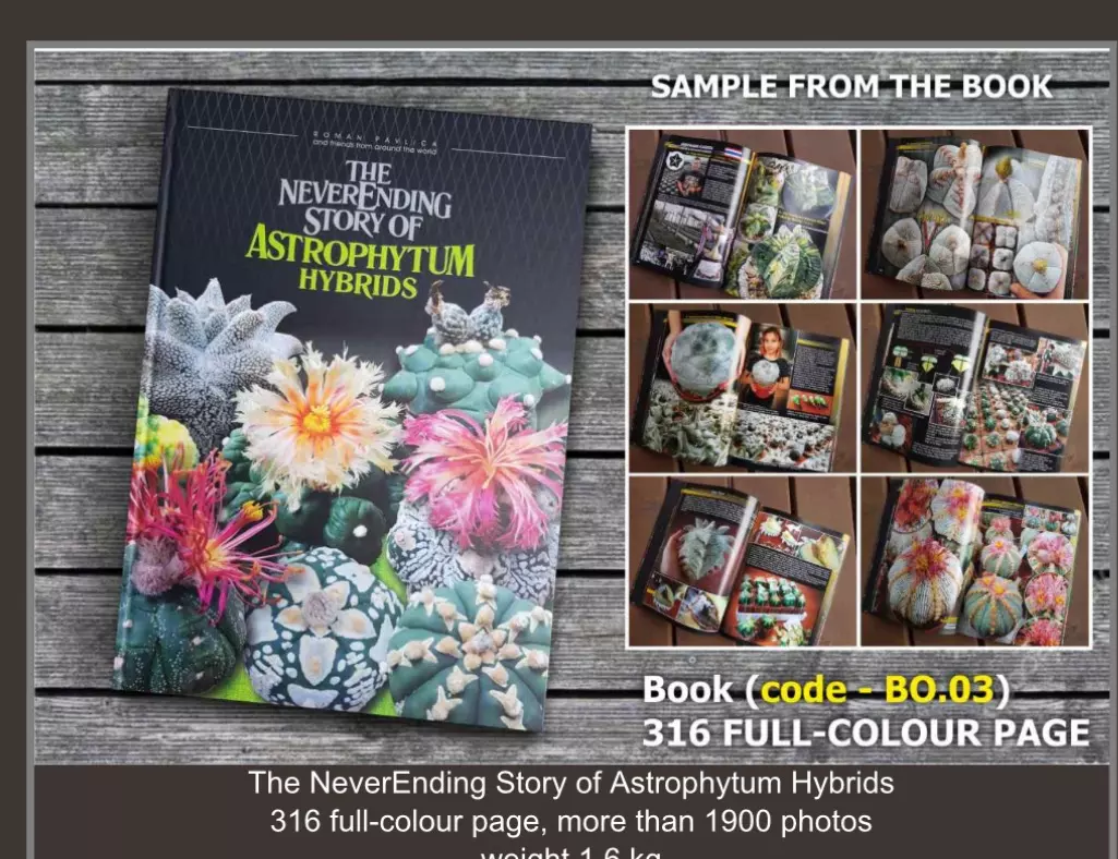 “The Never ending Story of Astrophytum Hybrids” thumbnail