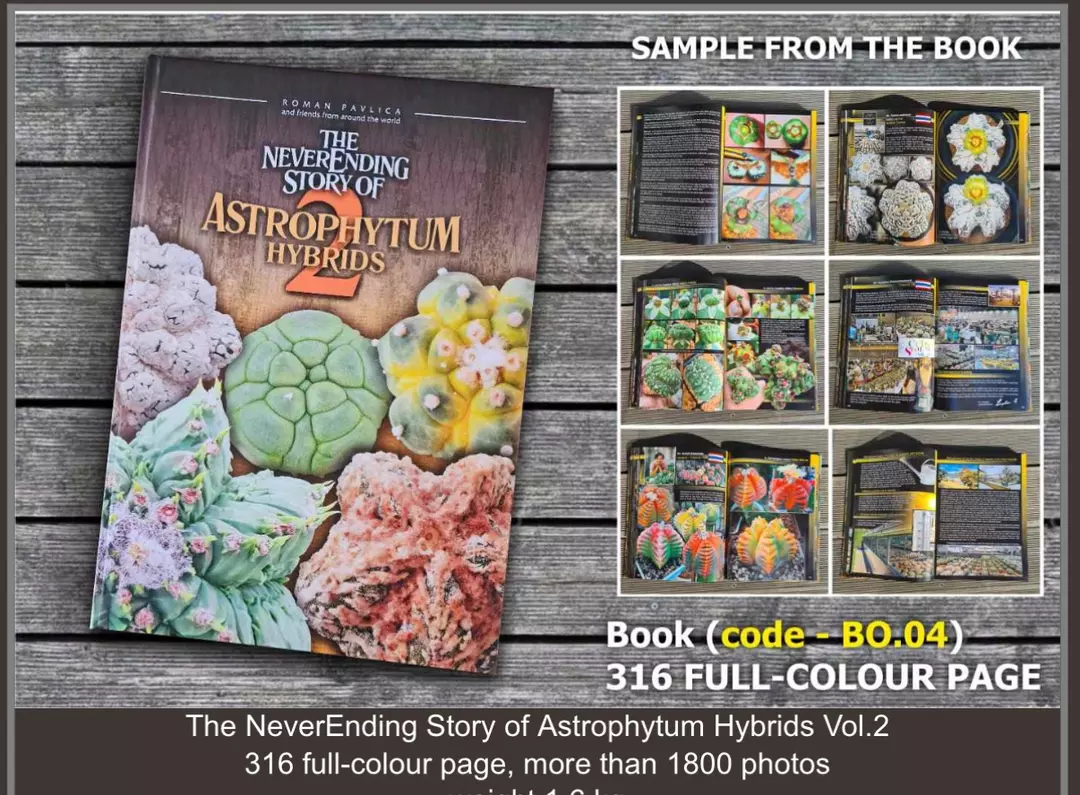 “The Never ending Story of Astrophytum Hybrids 2” thumbnail