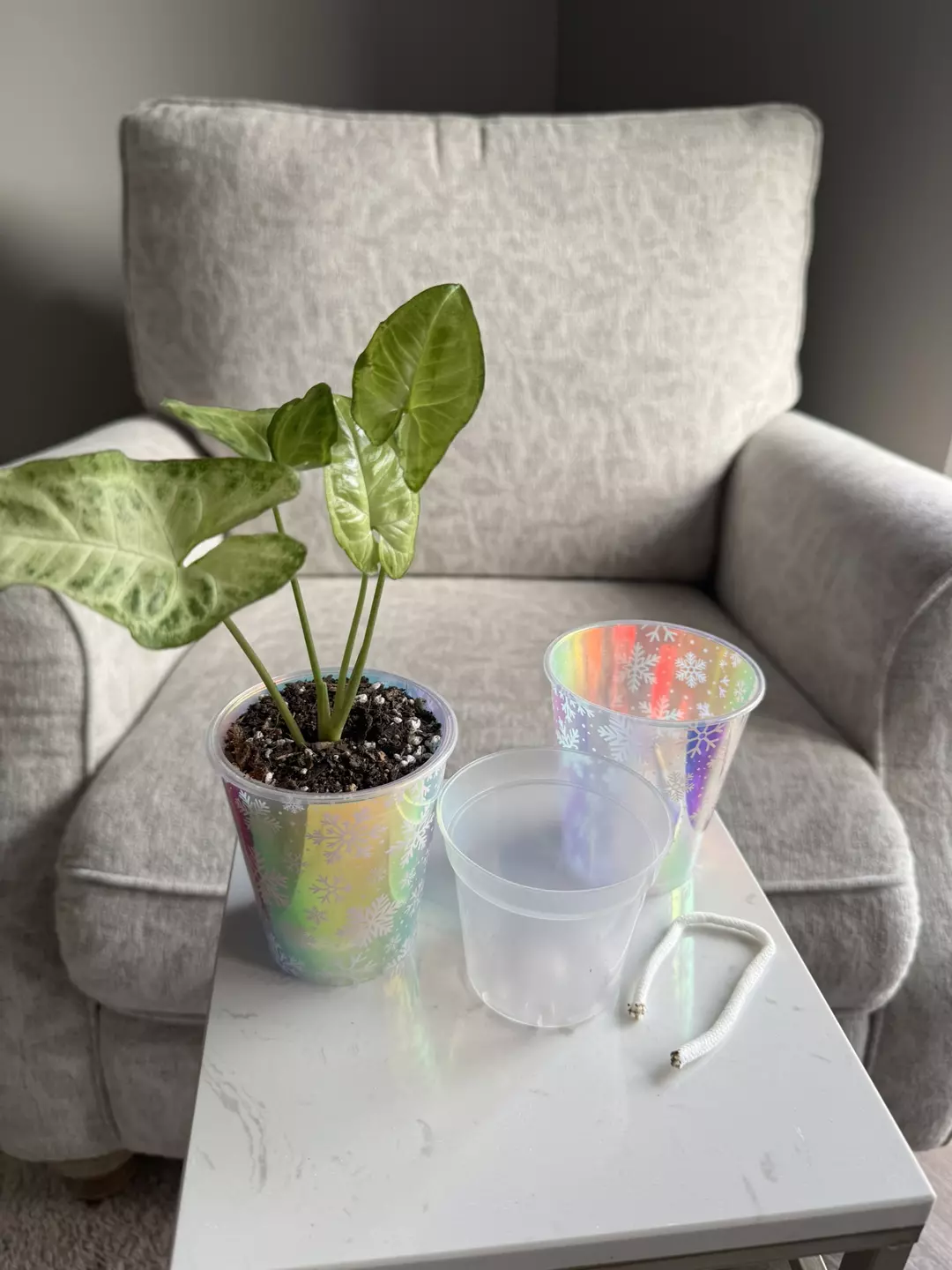 Snowflake Iridescent Self Watering. thumbnail