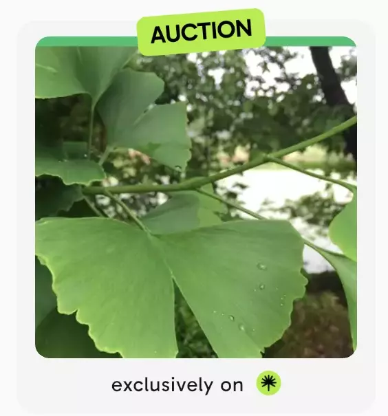 Listing coins-3 thumbnail