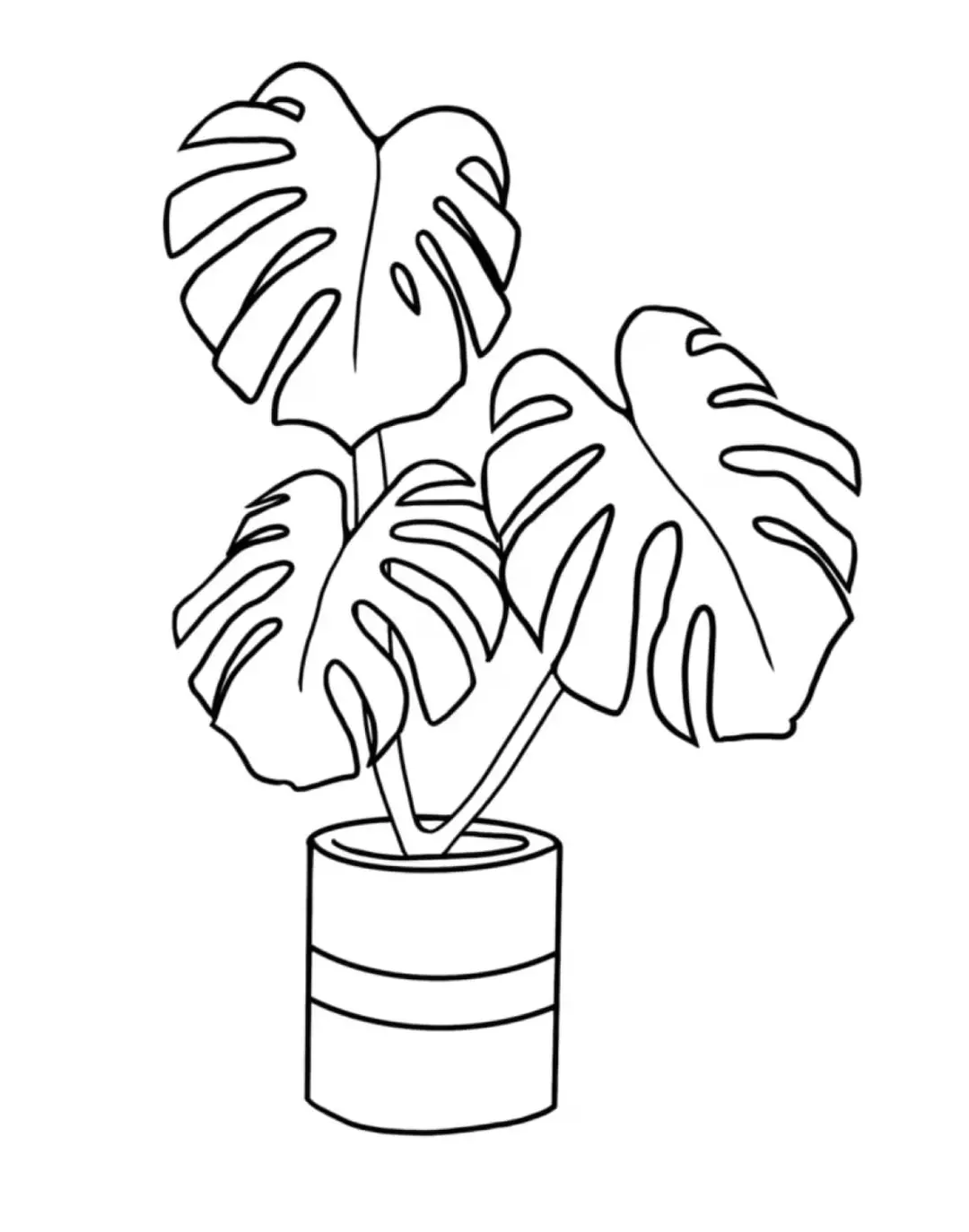 Winter protection thumbnail